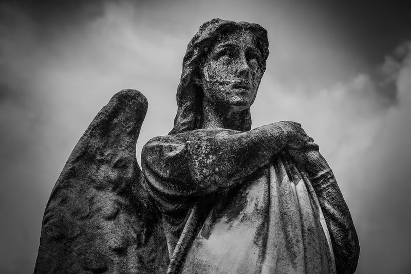 Angel Investors